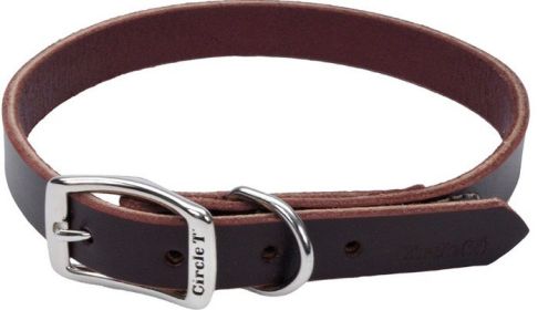 Circle T Latigo Town Dog Collar (Size: 20"L x 3/4"W)