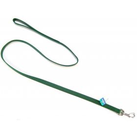 Coastal Pet Single Nylon Lead Hunter Green (Size: 4 feet x 5/8"W)