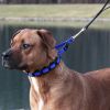 Coastal Pet Natural Control Training Collar Blue