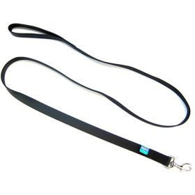 Coastal Pet Single Nylon Lead Black (Size: 6 feet x 1"W)