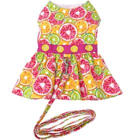 Citrus Slice Dog Dress with Matching Leash (Color: , Size: X-Small)