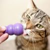 KONG Kitty KONG Treat Dispensing Cat Toy