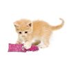 KONG Kickeroo Catnip Toy for Kittens