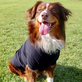 Solid Dog Polo (Color: Jet Black, Size: X-Small)